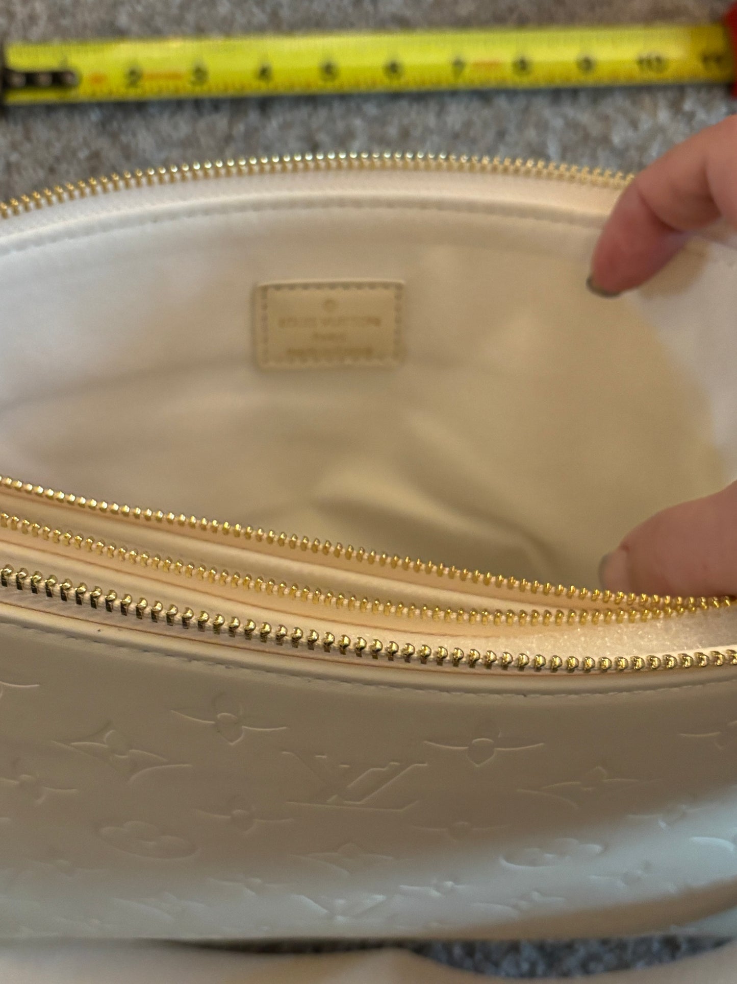 LV Coussin Shoulder/Crossbody 2443