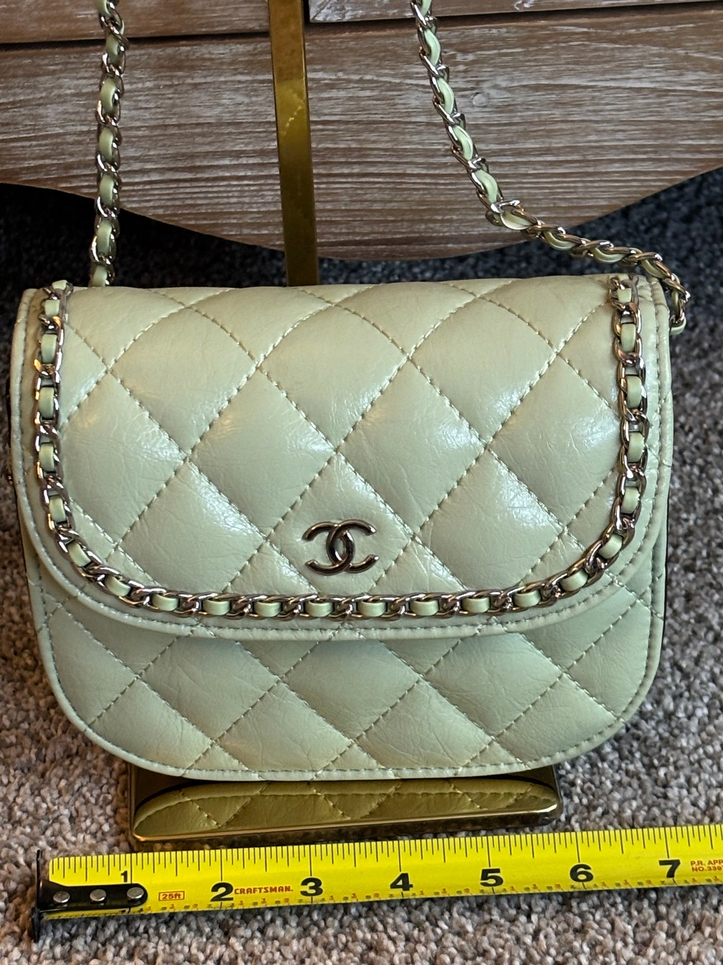 Chanel Sage Green with Silver hardware crossbody
