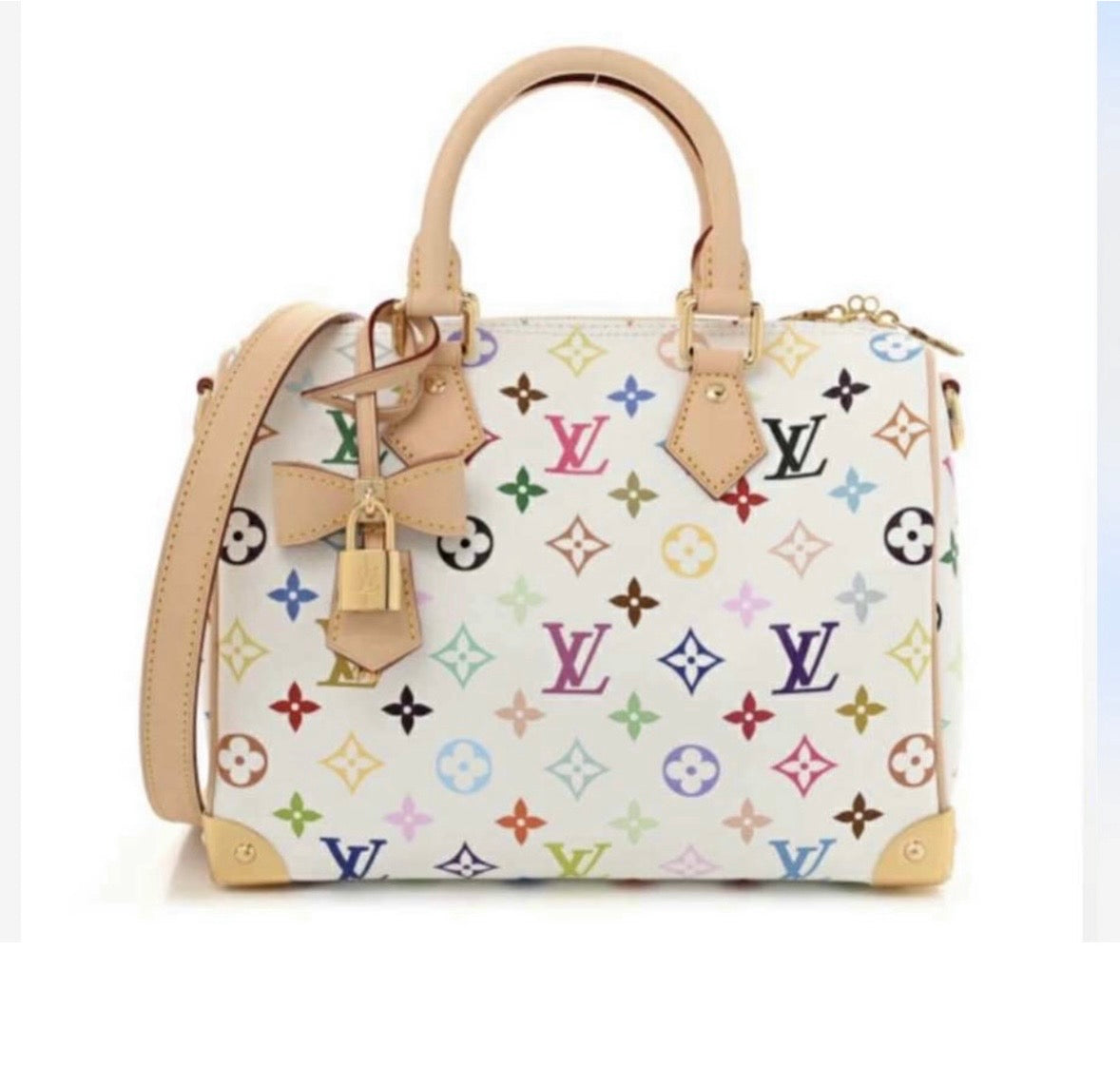 LV Takashi Murakami Speedy 25 Mono Multi Color 2323 handle/Crossbody